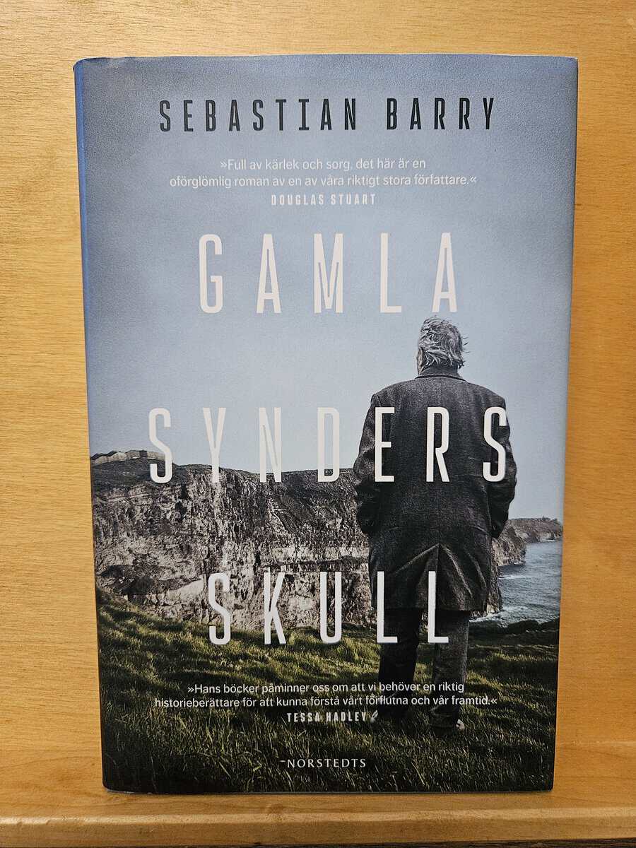 Sebastian Barry : Gamla synders skull