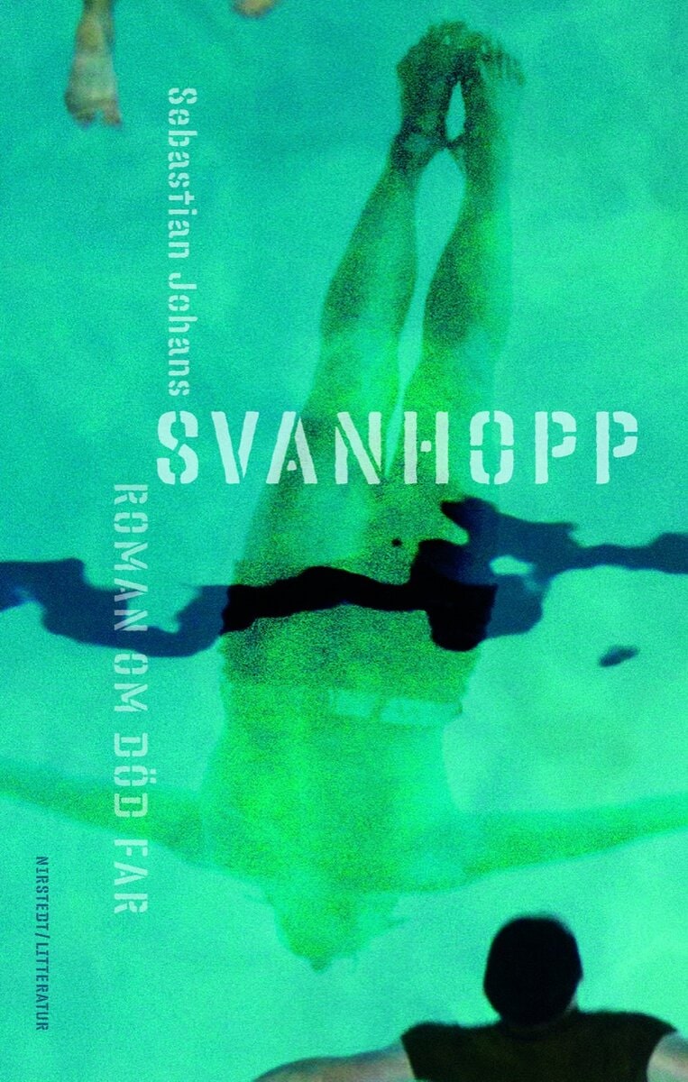 Sebastian Johans : Svanhopp : roman om död far