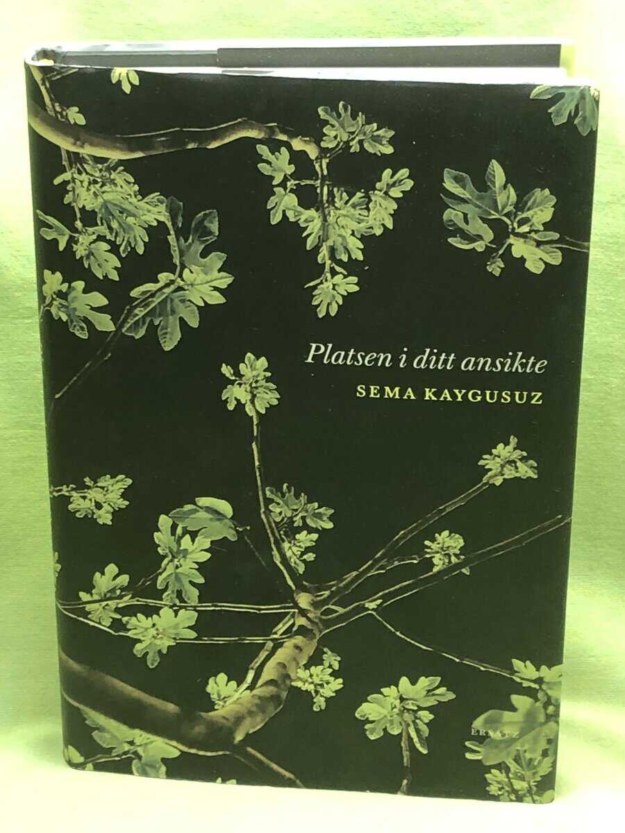 Sema Kaygusuz : Platsen i ditt ansikte