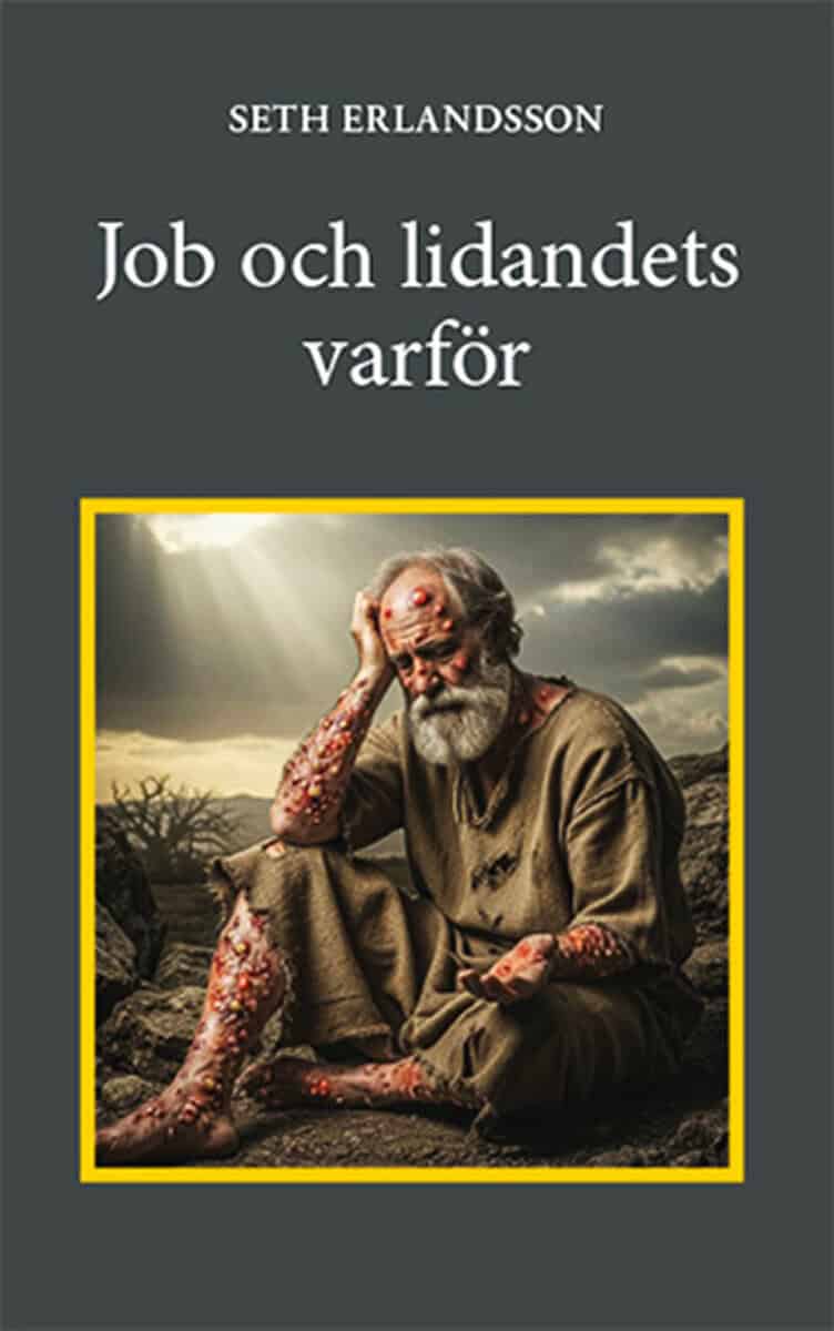Seth Erlandsson : Job och lidandets varför