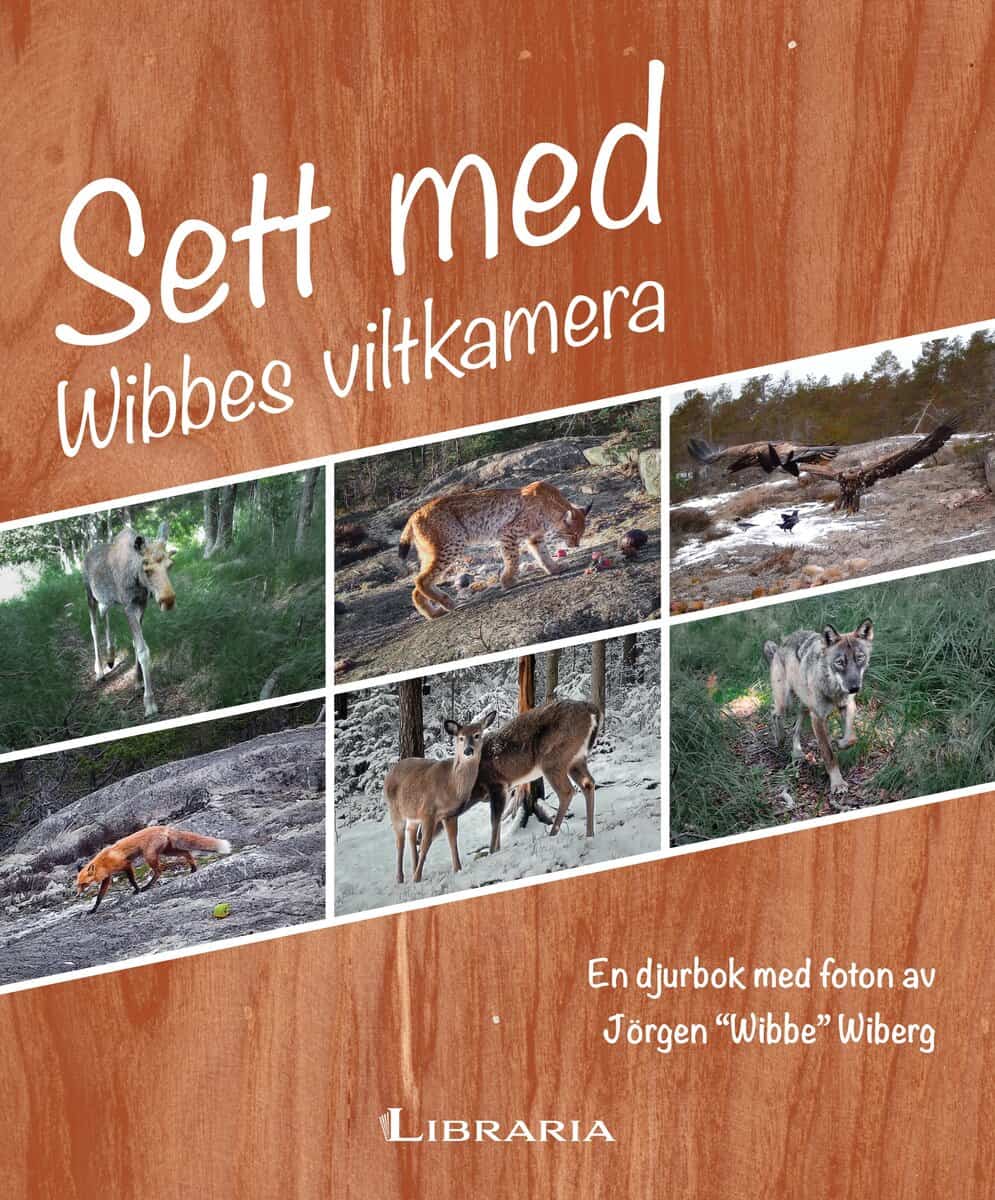 Sett med Wibbes viltkamera