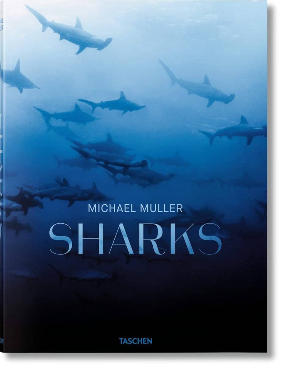 Michael Muller : Sharks