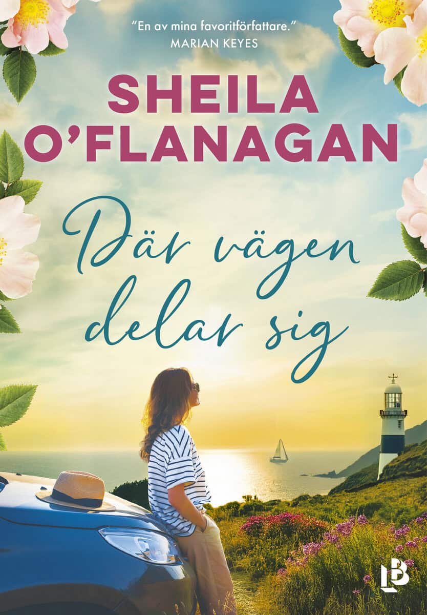 Sheila O'Flanagan : Där vägen delar sig