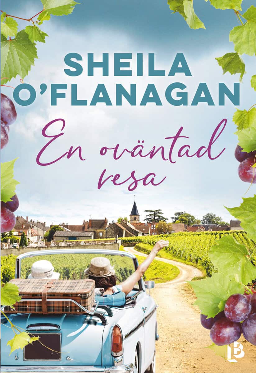 Sheila O’Flanagan : En oväntad resa