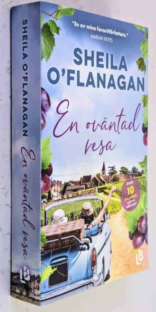 Sheila O’Flanagan : En oväntad resa