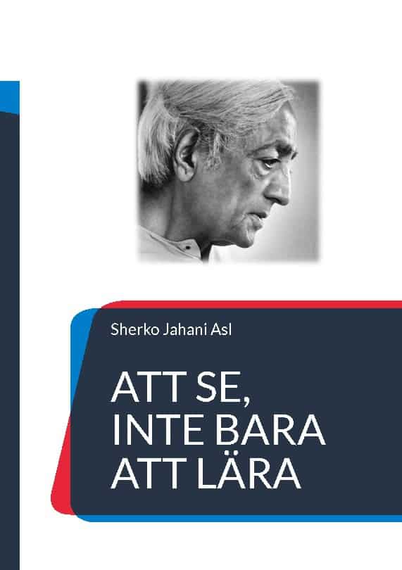 Sherko Jahani Asl : Att se, inte bara att lära