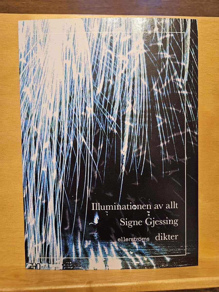 Signe Gjessing : Illuminationen av allt