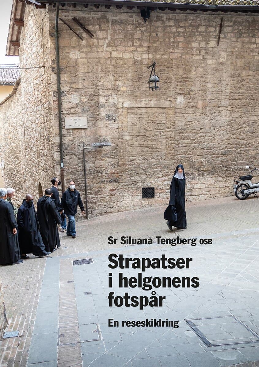 Siluana Tengberg OSB : Strapatser i helgonens fotspår : en reseskildring