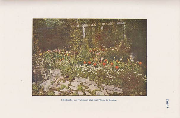 Silva Tarouca, Ernst Graf ; Schneider, Camillo : Kulturhandbücher für Gartenfreunde. Band I. Unsere Freiland-Stauden