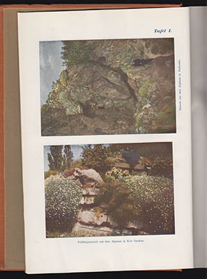 Silva Tarouca, Ernst Graf ; Schneider, Camillo : Unsere Freiland-Stauden. Anzucht, Pflege und Verwendung aller bekannten, in Mitteleuropa im freien kulturfähigen ausdauernden krautigen Gewächse