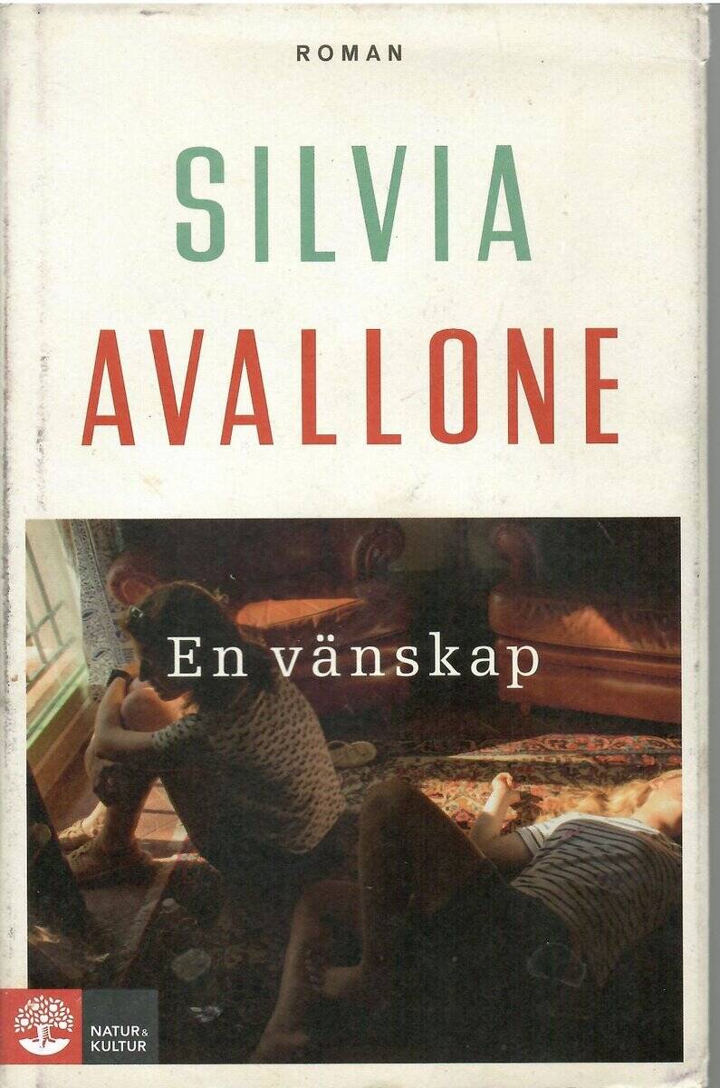 Silvia Avallone : En vänskap