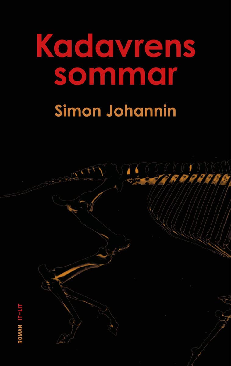 Simon Johannin : Kadavrens sommar