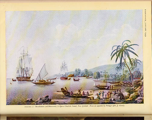 Sir Maurice Holmes : Captain James Cook, R.N., F.R.S.