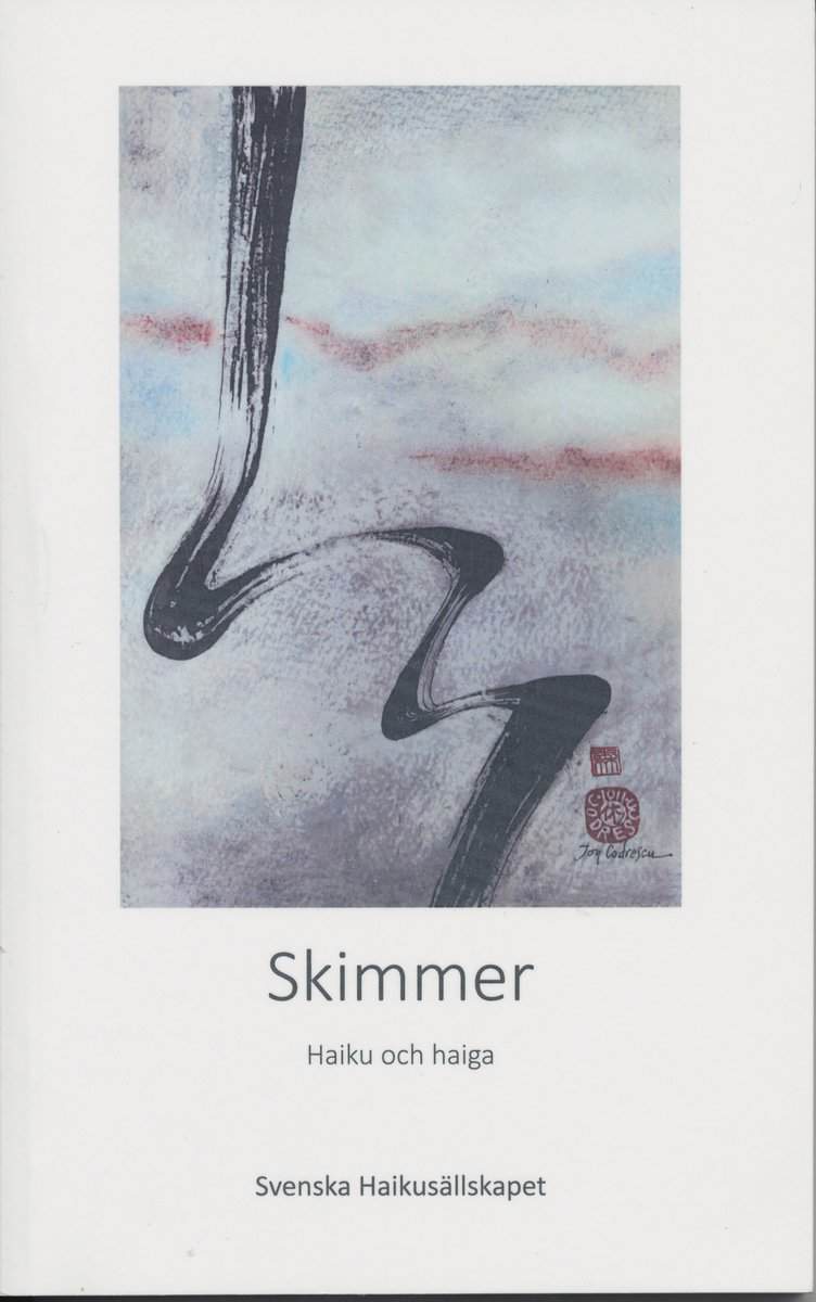 Skimmer