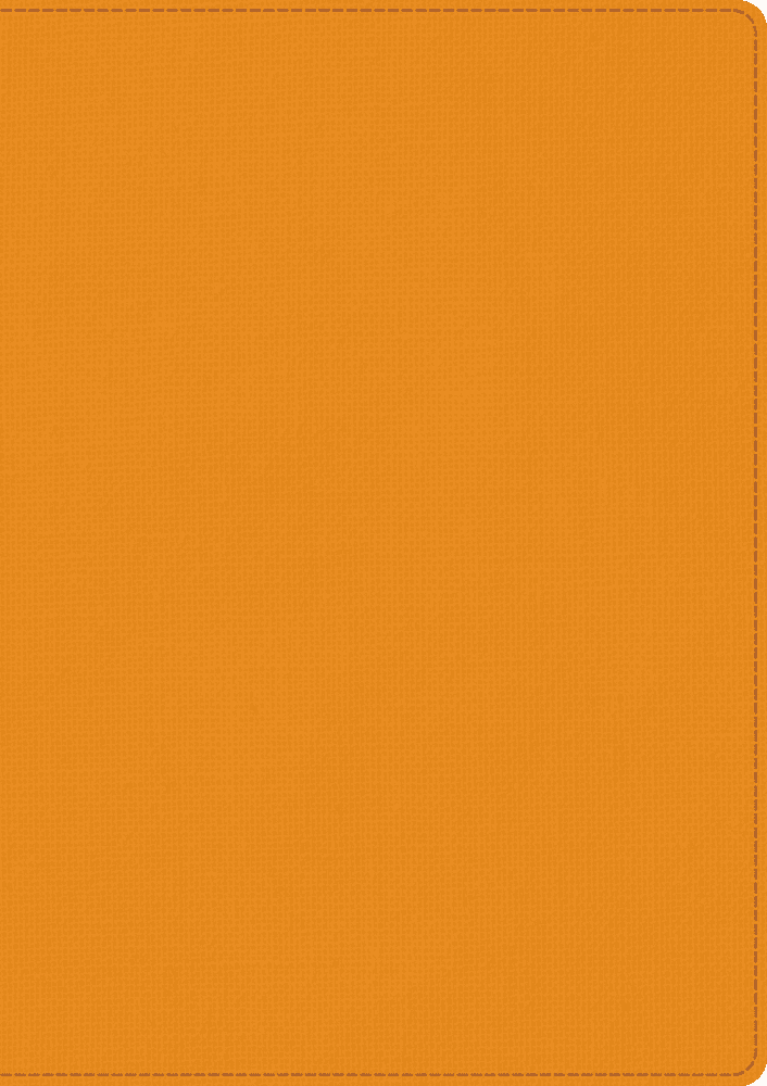 Skrivbok A5 PU linjerad orange