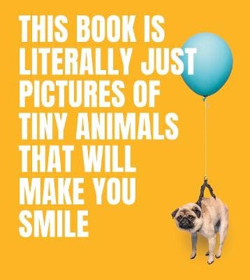Smith Street Books : This Book Is Literally Just Pictures of Tiny Animals That Will Make You Smi