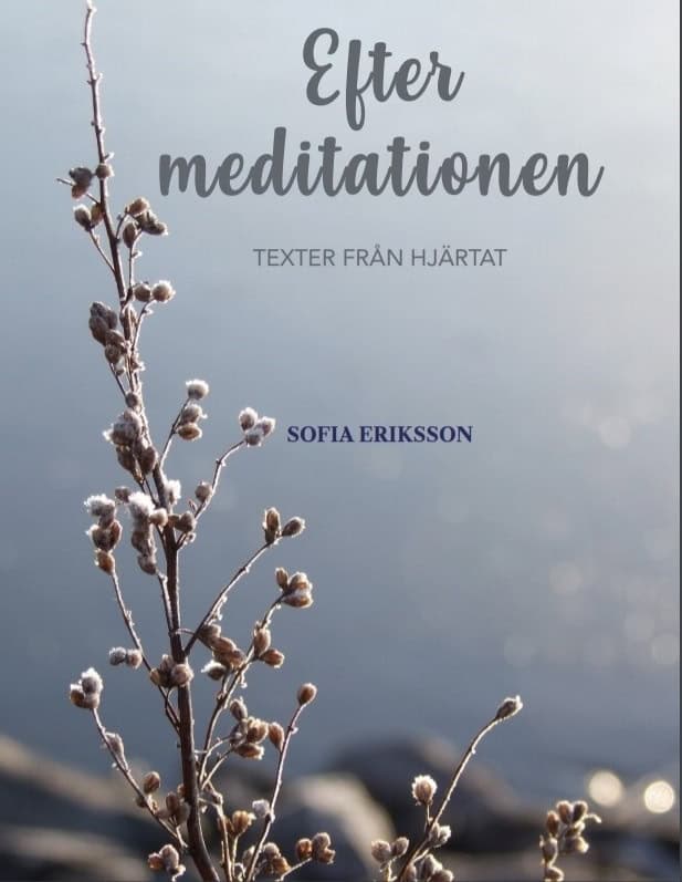 Sofia Eriksson : Efter meditationen