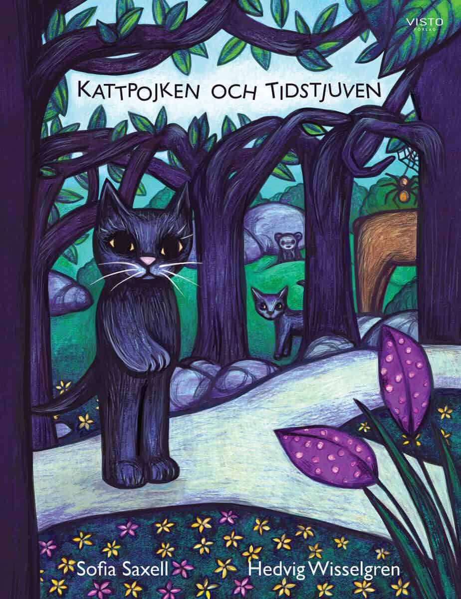 Sofia Saxell : Kattpojken och tidstjuven