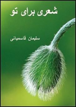 Soleyman Ghasemiani : A poem for you!