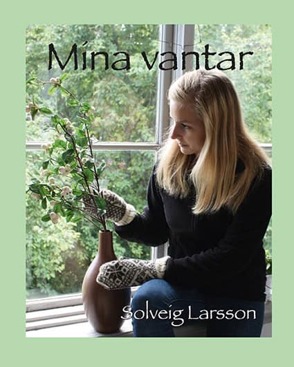 Solveig Larsson : Mina vantar