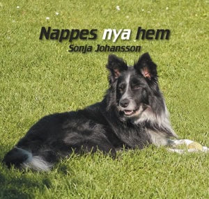 Sonja Johansson : Nappes nya hem