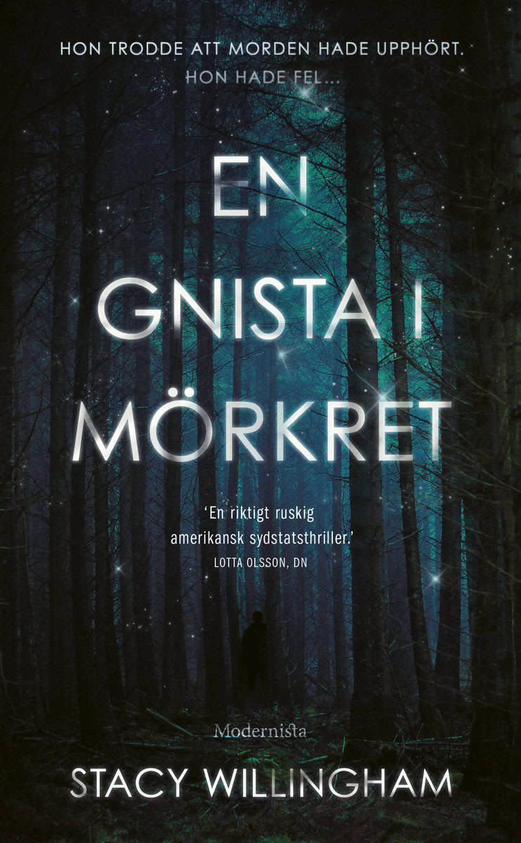 Stacy Willingham : En gnista i mörkret