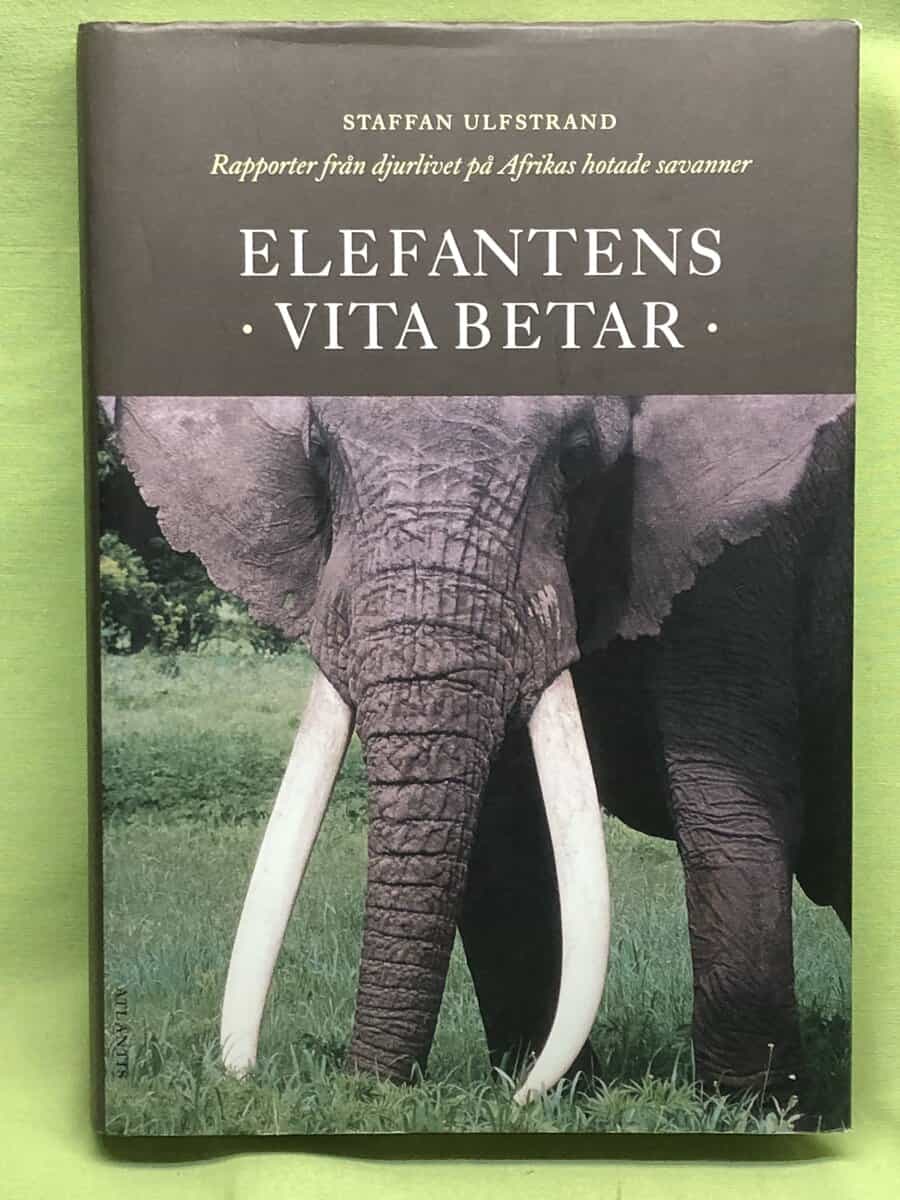 Staffan Ulfstrand : Elefantens vita betar