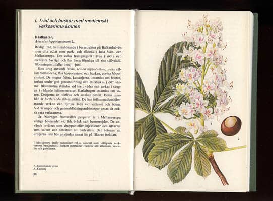 Starý, Frantisek ; Jirásek, Vaclau : Läkeväxter