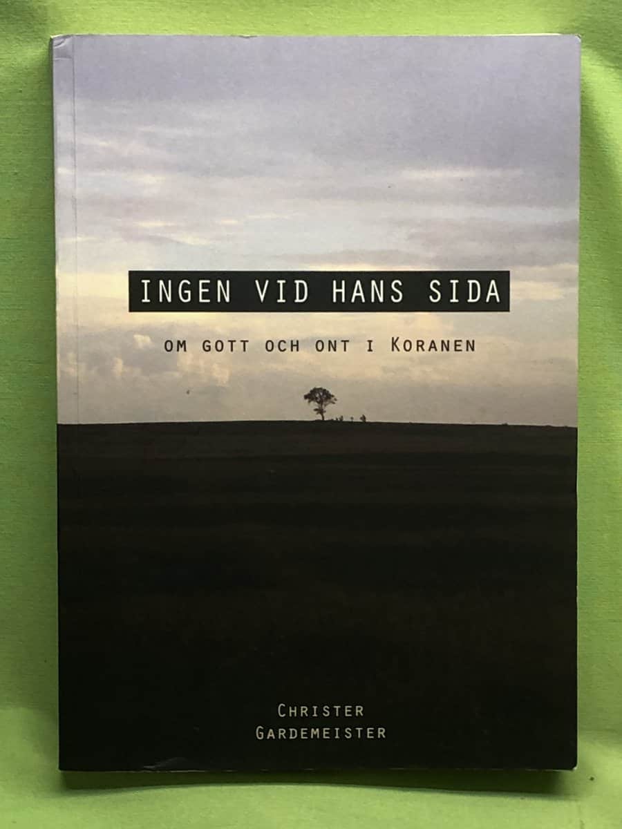 Stefan Casta : Den vilda staden