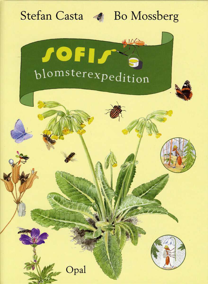 Stefan Casta : Sofis blomsterexpedition