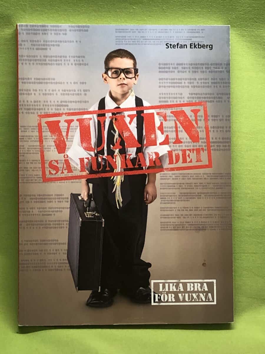 Stefan Ekberg : Vuxen så funkar det