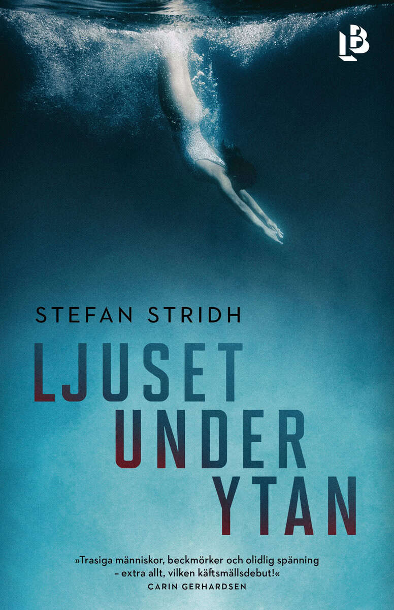 Stefan Stridh : Ljuset under ytan