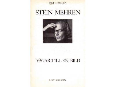 Stein Mehren : Vägar till en bild