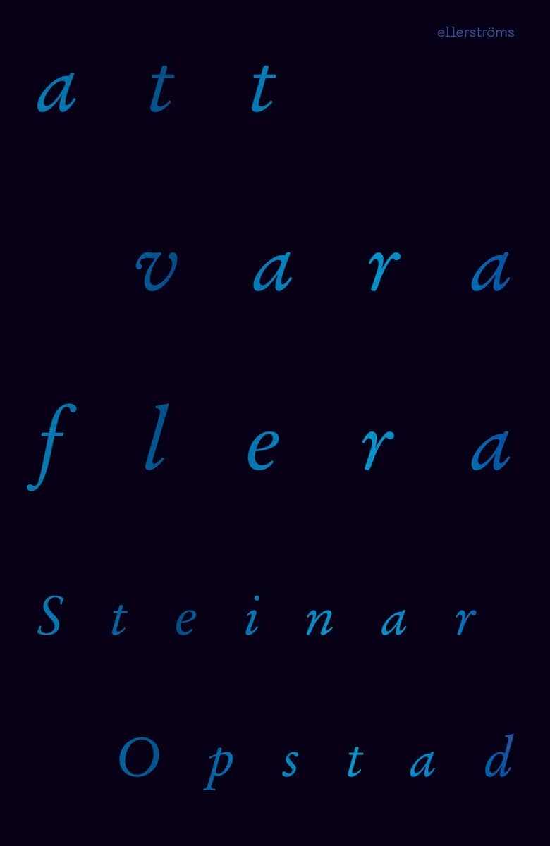 Steinar Opstad : Att vara flera