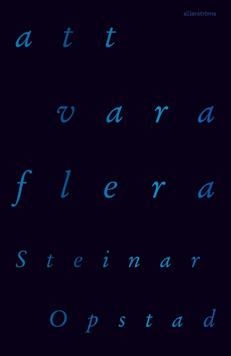 Steinar Opstad : Att vara flera