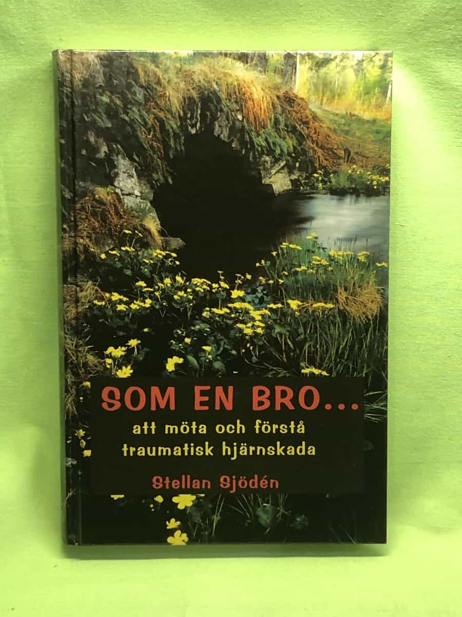 Stellan Sjödén : Som en bro- att möta och förstå förvärvad hjärnskada
