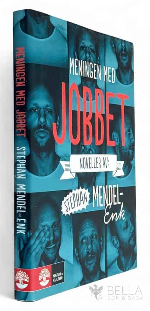 Stephan Mendel-Enk : Meningen med jobbet