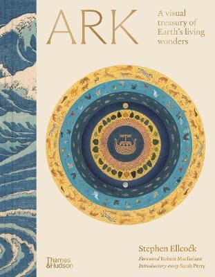 Stephen Ellcock : Ark