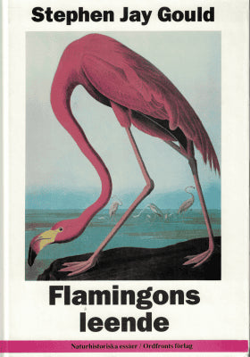 Stephen Jay Gould : Flamingons leende