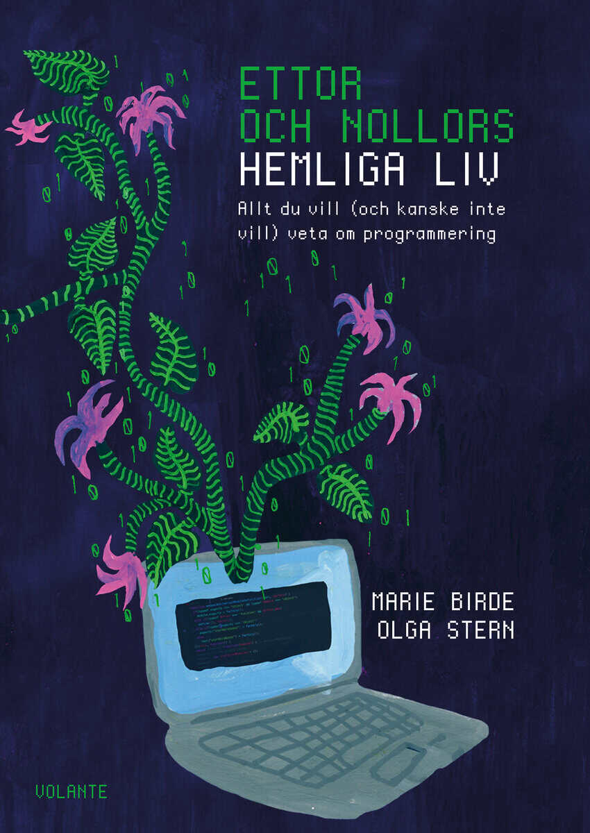 Stern, Olga ; Birde, Marie : Ettor och nollors hemliga liv : Allt du vill (och kanske inte vill) veta om