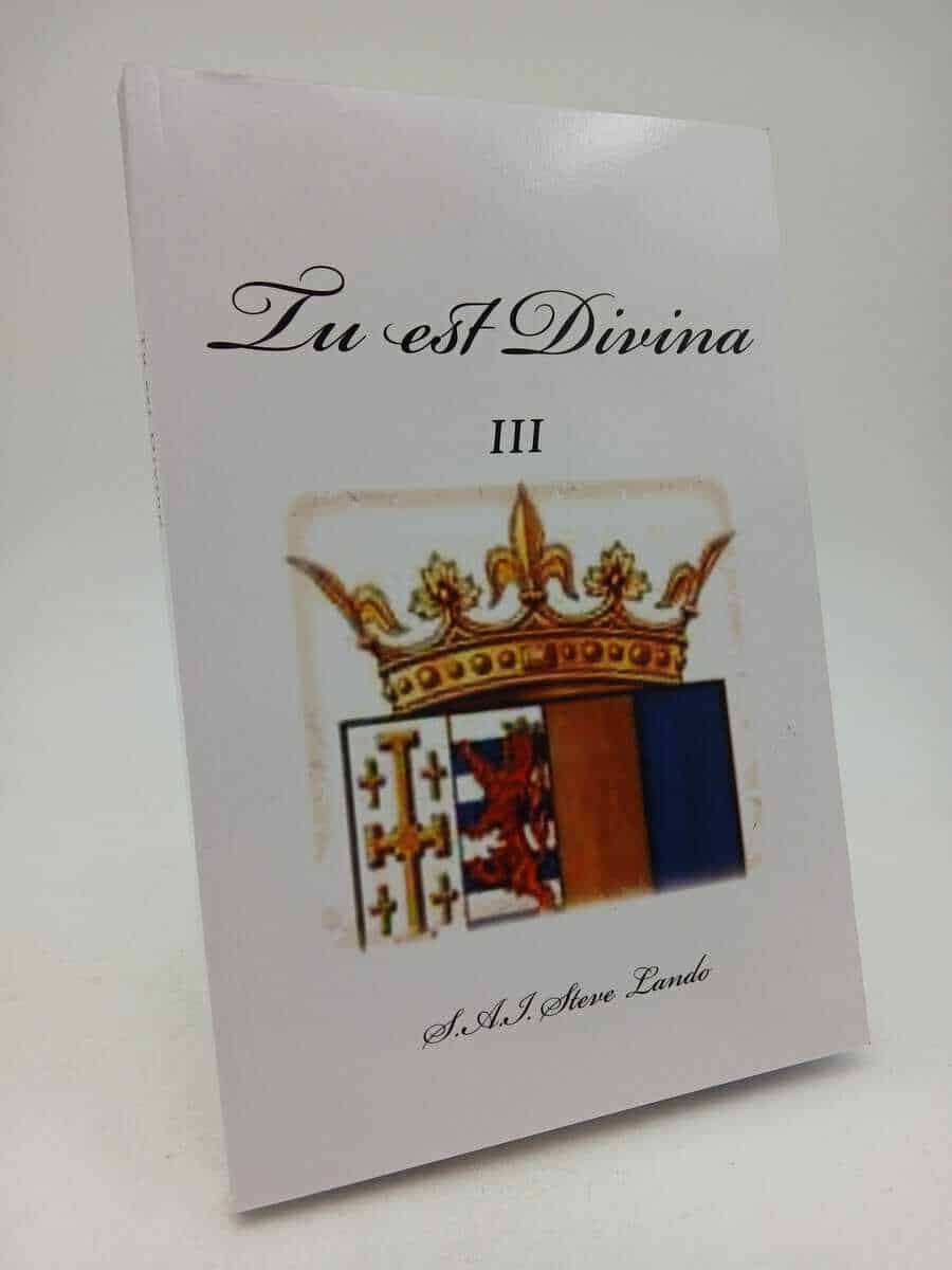 Steve Lando : Tu est Divina III