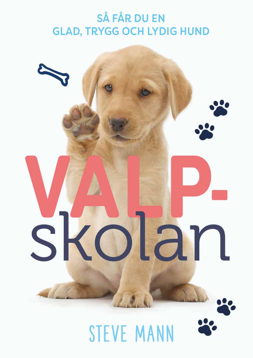 Steve Mann : Valpskolan : så får du en glad, trygg och lydig hund
