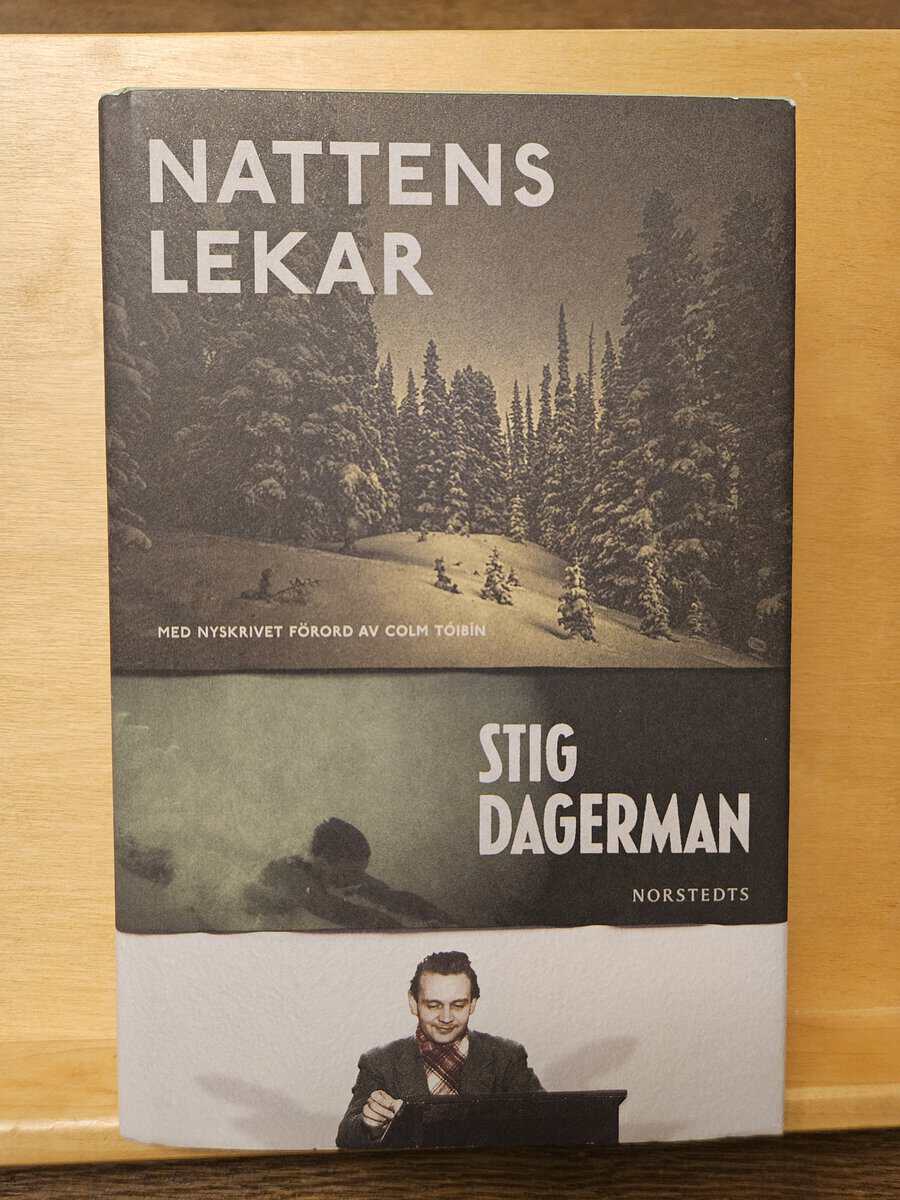 Stig Dagerman : Nattens lekar