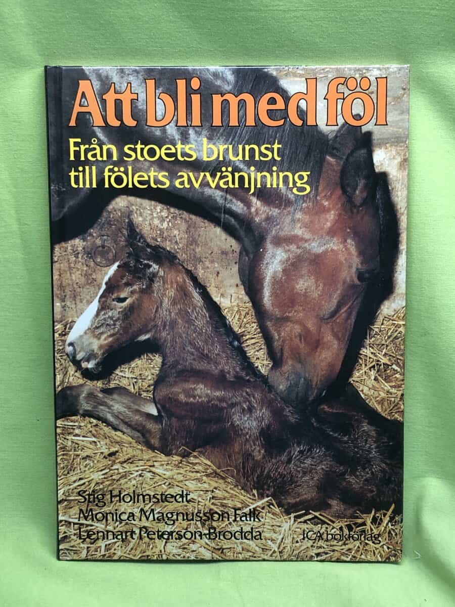 Stig Holmstedt : Att bli med föl