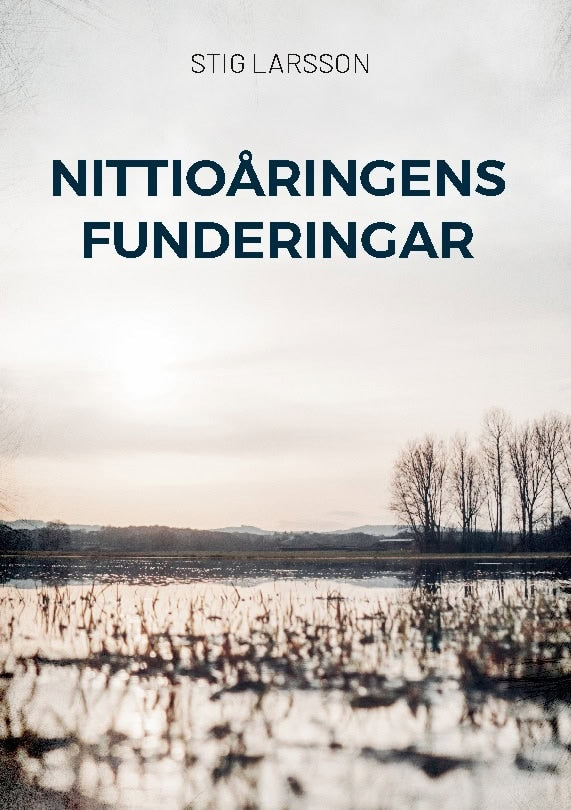 Stig Larsson : Nittioåringens funderingar