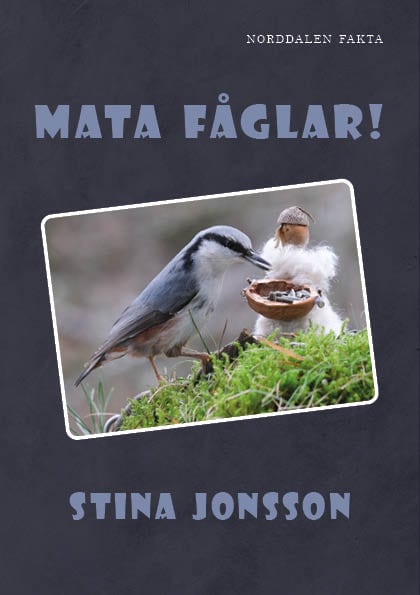 Stina Jonsson : Mata fåglar!