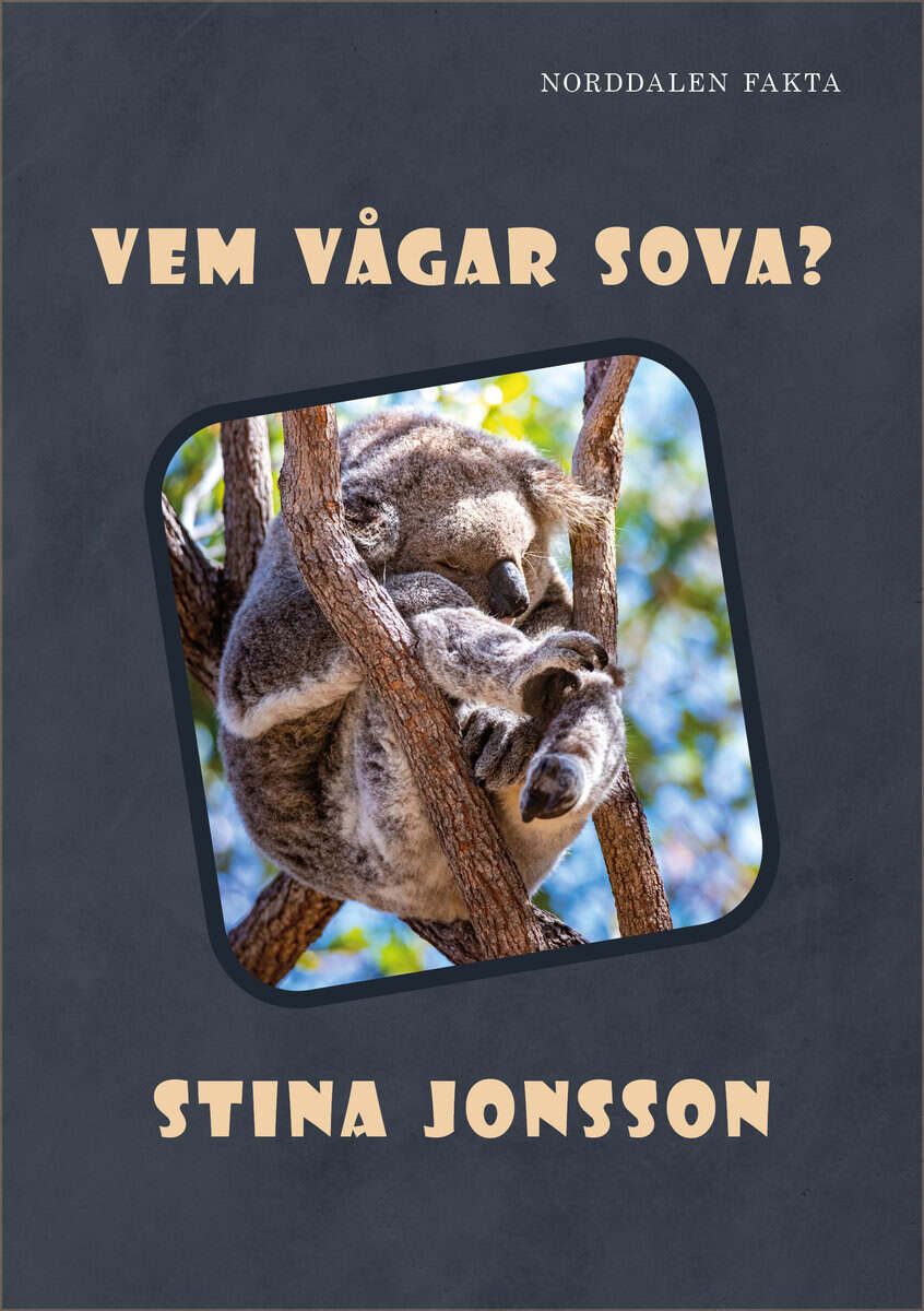 Stina Jonsson : Vem vågar sova?