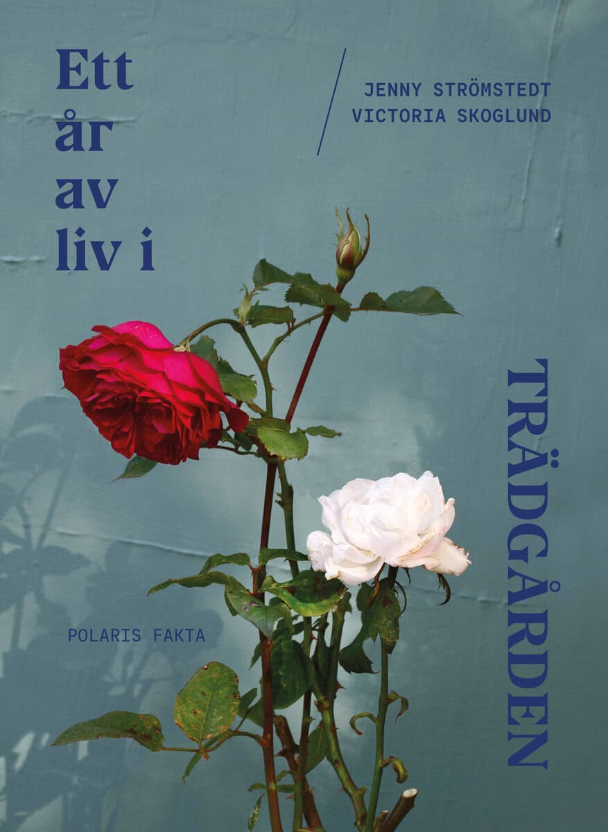 Strömstedt, Jenny ; Skoglund, Victoria : Ett år av liv i trädgården