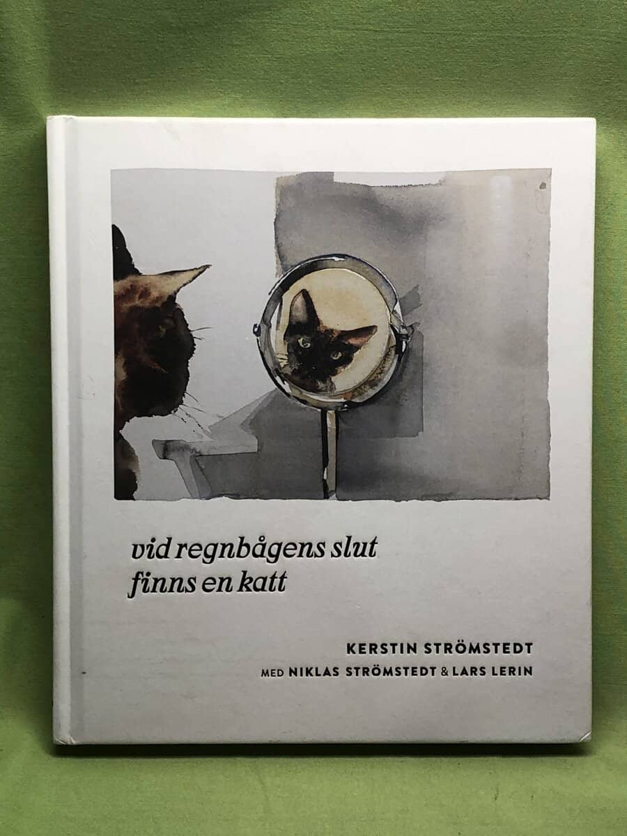 Strömstedt, Kerstin, Strömstedt, Niklas : Vid regnbågens slut finns en katt