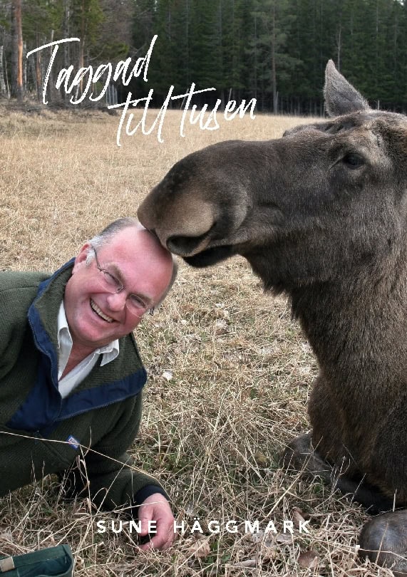Sune Häggmark : Taggad till tusen